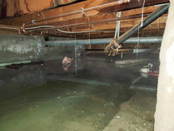Best Water damage contractors near me  in Richfield, OH