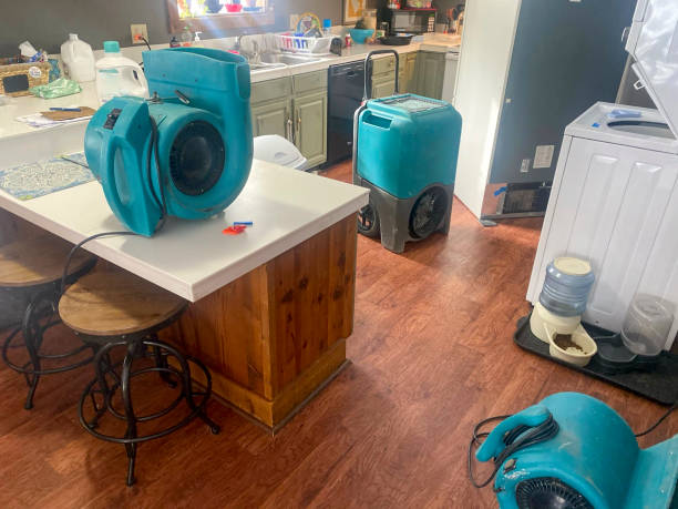 Best Mold removal after water damage  in Richfield, OH