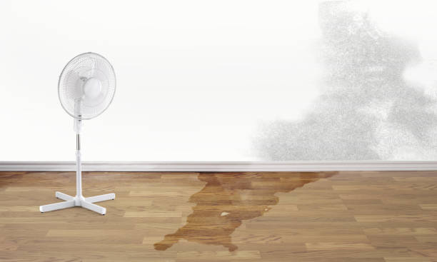 Best Ceiling water damage repair  in Richfield, OH