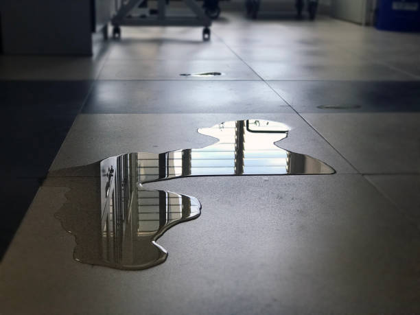 Best Water damage cleanup near me  in Richfield, OH
