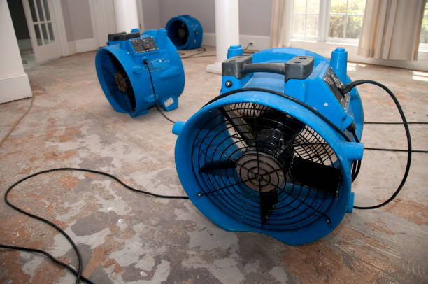 Best Flooded house restoration  in Richfield, OH
