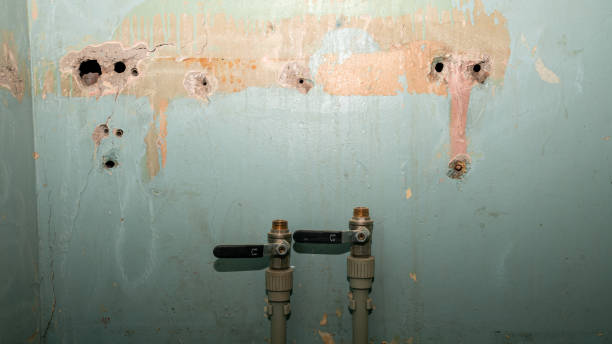 Best Water damage restoration cost  in Richfield, OH