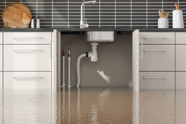 Best Flood restoration services  in Richfield, OH
