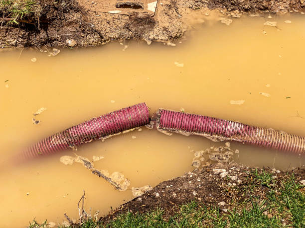 Best Basement water damage restoration  in Richfield, OH