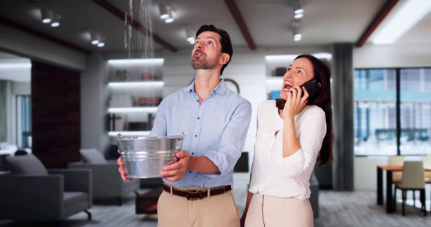 Best Professional water damage repair  in Richfield, OH